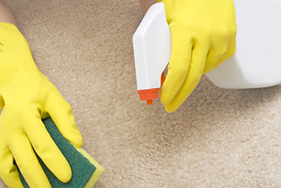 Eco-Alternative Carpet Cleaning Solutions