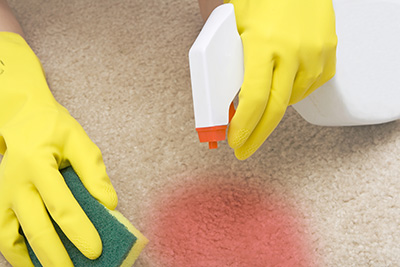 Eco Friendly Carpet Cleaning